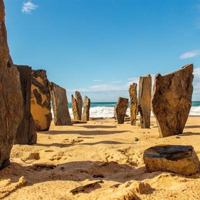 天博体育官网入口手机app下载